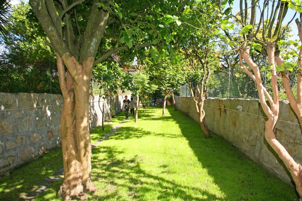 Alma Porto Hostel Bagian luar foto